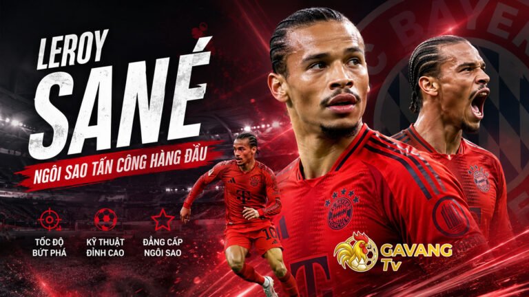 Leroy Sane: Ngôi sao tấn công hàng đầu